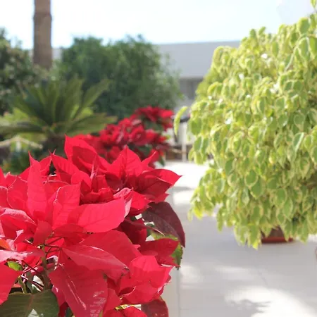 Club Mar - First Line With Sea View Costa Adeje (Tenerife)