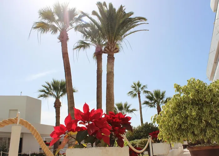 Club Mar - First Line With Sea View Costa Adeje (Tenerife)