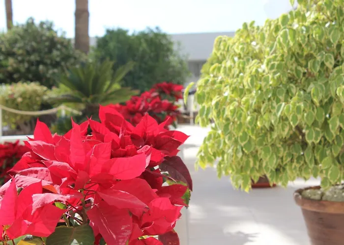 Club Mar - First Line With Sea View Costa Adeje (Tenerife)